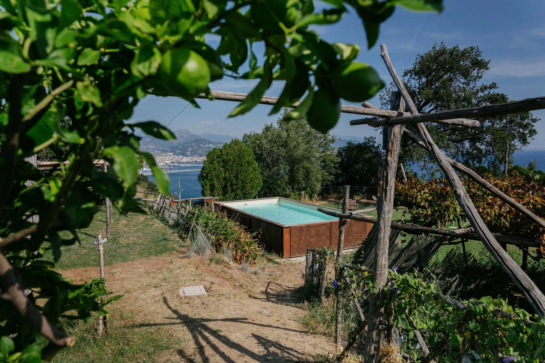 Limoni davanti alla piscina