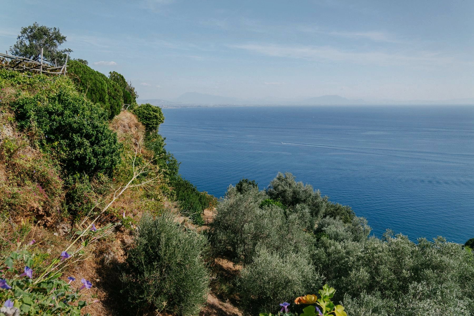 Il mare aperto visto dalla terrazza, tra ulivi e macchia